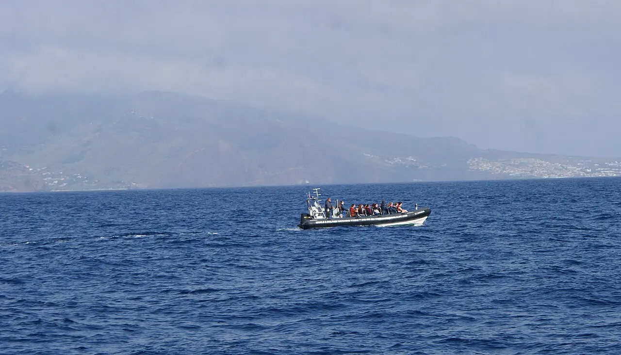 A whale and dolphin watching boat off Madeira